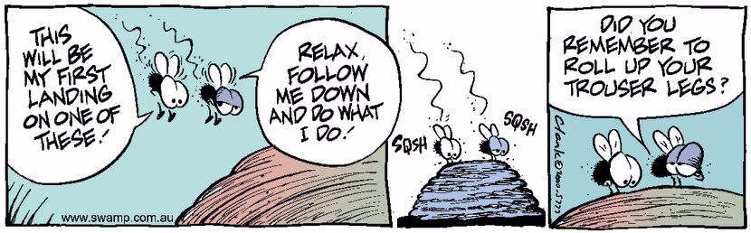 Swamp Cartoon - Fly LandingMarch 25, 2000