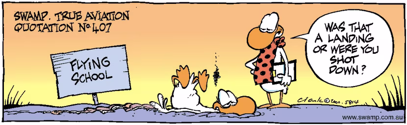 Swamp Cartoon - Quote No. 407May 8, 2000