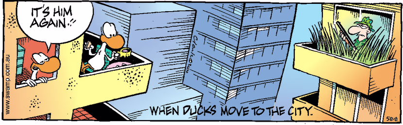 Swamp Cartoon - City DucksMay 12, 2000