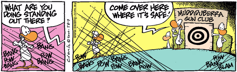 Swamp Cartoon - Target PractiseMay 13, 2000