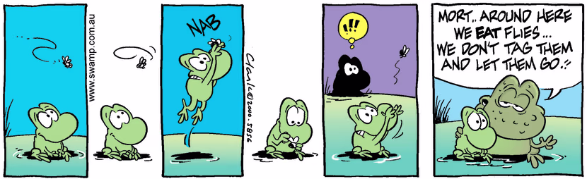 Swamp Cartoon - MisleadJune 26, 2000