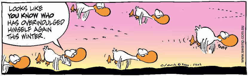 Swamp Cartoon - Over IndulgedAugust 18, 2000