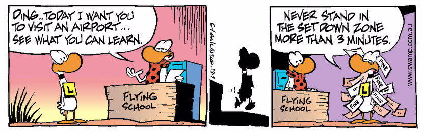 Swamp Cartoon - Airport 1August 31, 2000