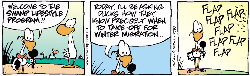 Swamp Cartoon - Swamp Lifestyle 1November 28, 2000