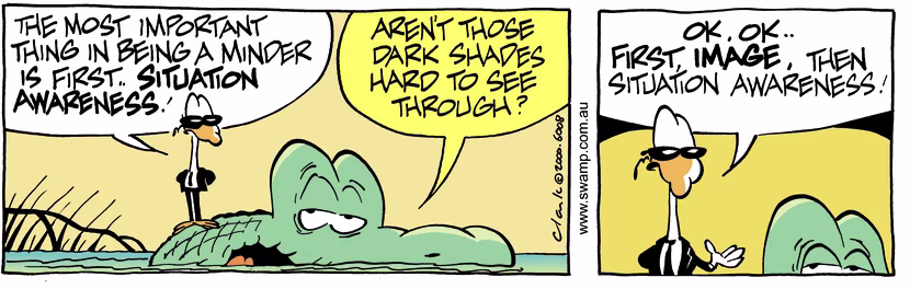 Swamp Cartoon - Croc MindingDecember 20, 2000