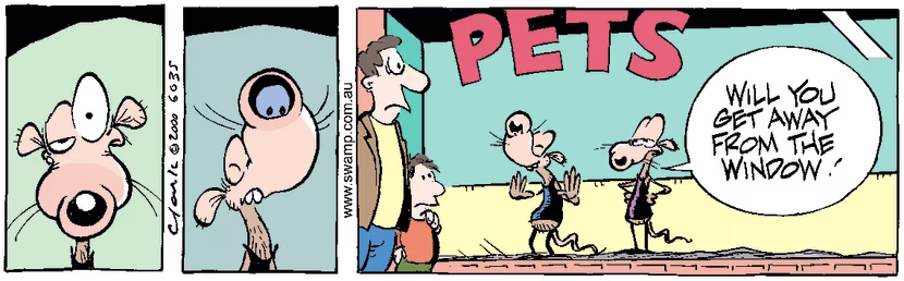 Swamp Cartoon - Swamp Rats in Pet Shop ComicJanuary 20, 2001