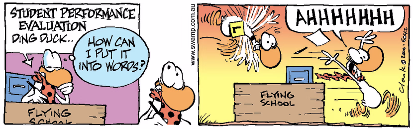 Swamp Cartoon - Ding Evaluation 1January 29, 2001