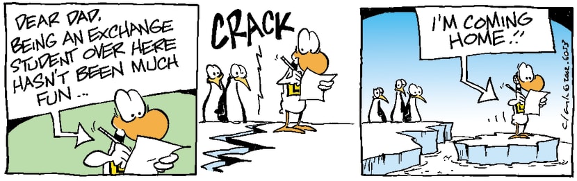 Swamp Cartoon - Student Exchange 5February 10, 2001