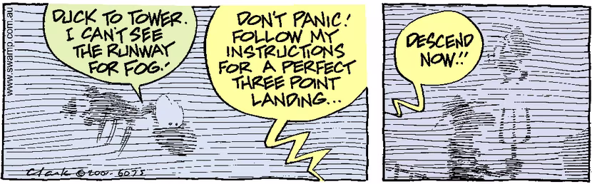 Swamp Cartoon - Foggy LandingMarch 8, 2001