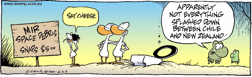 Swamp Cartoon - MirMay 10, 2001