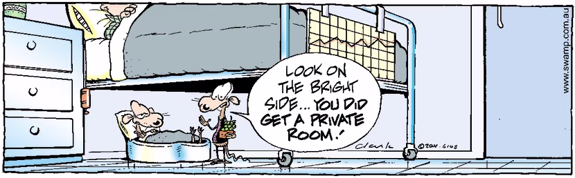 Swamp Cartoon - HospitalJune 1, 2001