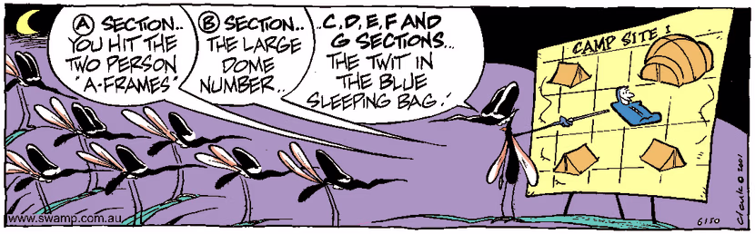 Swamp Cartoon - Mozzie RaidJune 4, 2001