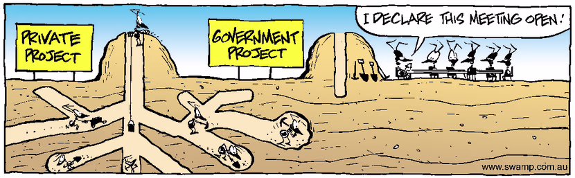 Swamp Cartoon - Private Vs GovernmentJune 14, 2001
