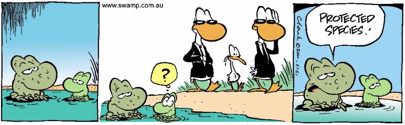 Swamp Cartoon - BodyguardsJune 16, 2001