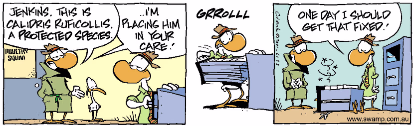 Swamp Cartoon - Protected 2June 19, 2001