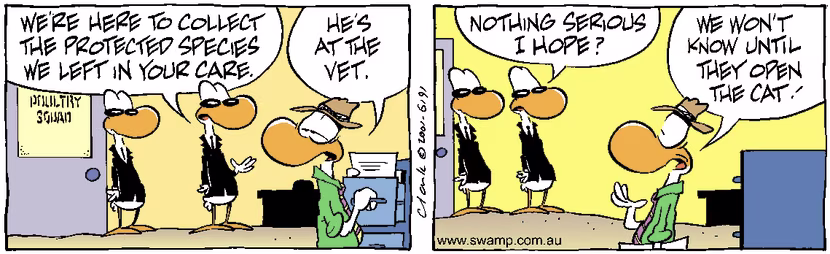 Swamp Cartoon - Missing BirdJuly 21, 2001
