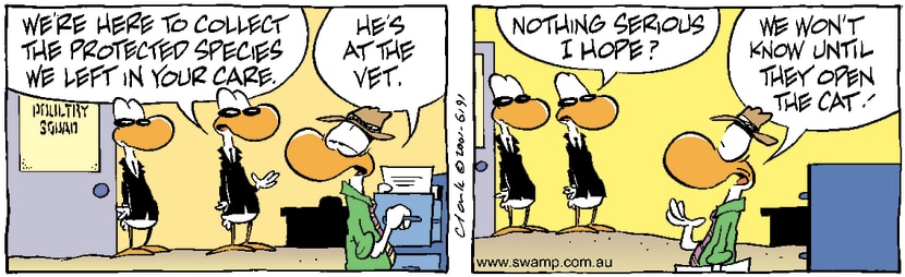 Swamp Cartoon - Missing BirdJuly 21, 2001