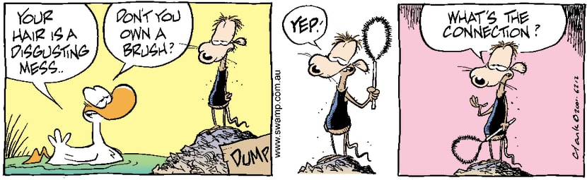 Swamp Cartoon - Messy HairAugust 15, 2001