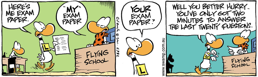 Swamp Cartoon - Exam PaperJanuary 2, 2002