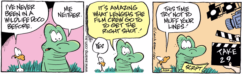 Swamp Cartoon - Wildlife DocumentaryJanuary 8, 2002