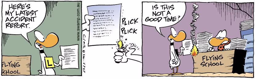 Swamp Cartoon - Accident ReportJanuary 17, 2002