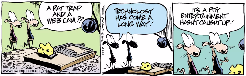 Swamp Cartoon - Web Trap 2March 8, 2002
