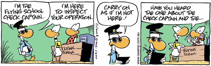 Swamp Cartoon - Check Captain 1March 26, 2002