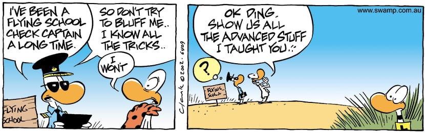Swamp Cartoon - Check Captain 3April 2, 2002