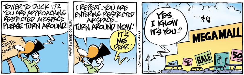 Swamp Cartoon - Restricted AirspaceMay 28, 2002