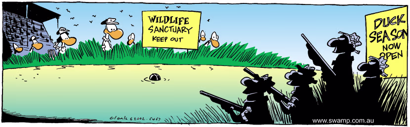 Swamp Cartoon - Cricket BallJune 8, 2002