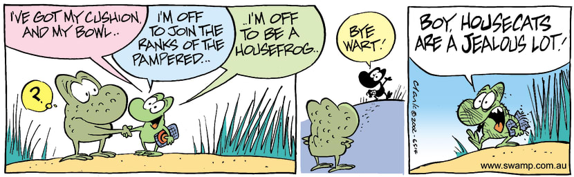 Swamp Cartoon - House Frog 1August 2, 2002