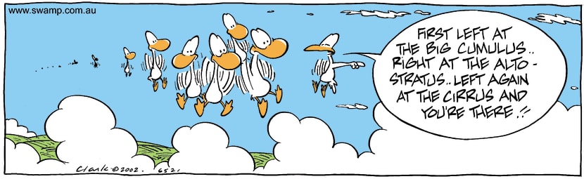 Swamp Cartoon - StuckAugust 10, 2002