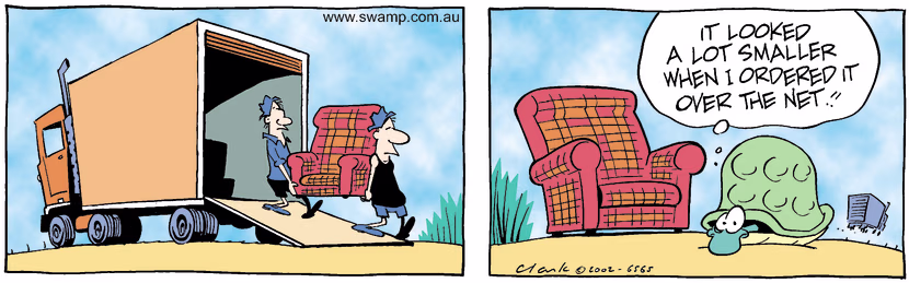 Swamp turtle has discovered the pain of buying furniture online when chair he ordered is too big. Swamp Cartoon - Turtle Online ShoppingOctober 1, 2002