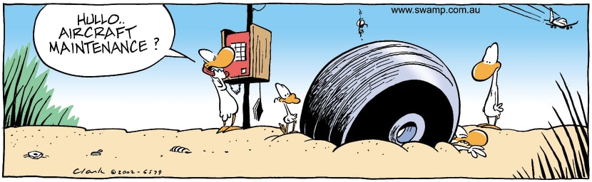 Swamp Cartoon - AircraftOctober 17, 2002