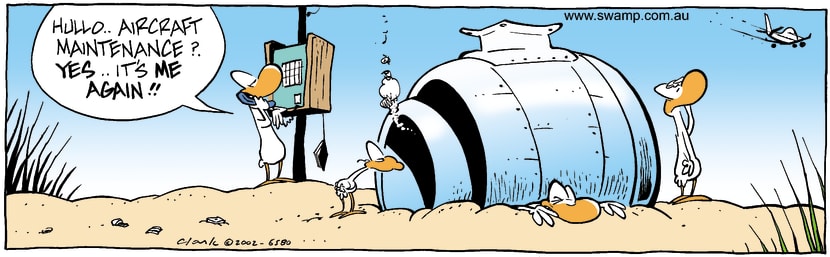 Swamp Cartoon - Aircraft 2October 18, 2002