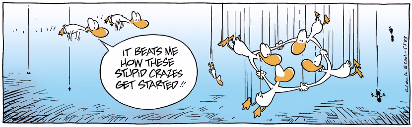 Swamp Cartoon - CrazeOctober 22, 2002