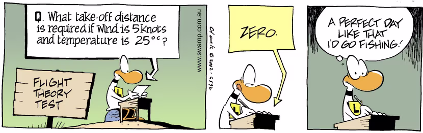 Swamp Cartoon - Test QuestionNovember 1, 2002
