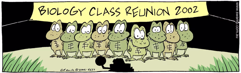 Swamp Cartoon - Biology ReunionDecember 12, 2002