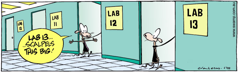 Swamp Cartoon - Lab 13June 17, 2003