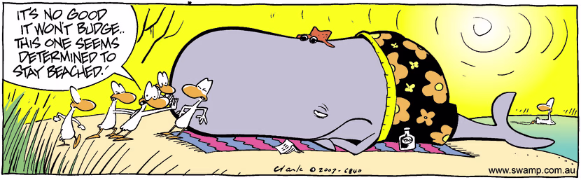 Swamp Ducks are trying to refloat beached whale but with boardshorts, hat and towel he looks content. Swamp Cartoon - Beached Whale ComicAugust 16, 2003