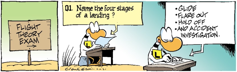 Swamp Cartoon - Ding Duck Landing ComicNovember 21, 2003