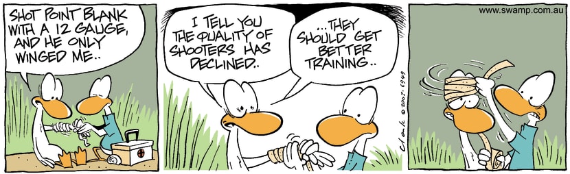 Swamp Cartoon - Point BlankDecember 22, 2003