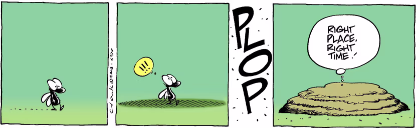 Swamp Cartoon - TimingJanuary 23, 2004