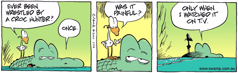 Swamp Cartoon - Croc HunterJanuary 24, 2004