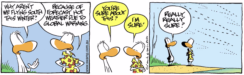 Swamp Cartoon - Environmental Problems 1June 5, 2007