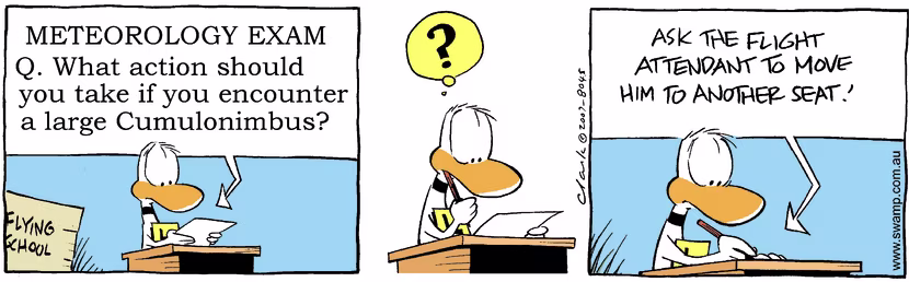 Swamp Cartoon - Meteorology Exam 1June 22, 2007