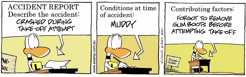 Swamp Cartoon - Exam 1July 11, 2007