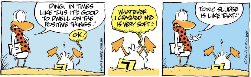 Swamp Cartoon - Flying antics 2August 8, 2007