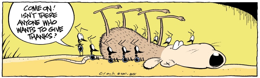 Swamp Cartoon - Grateful heartsAugust 21, 2007