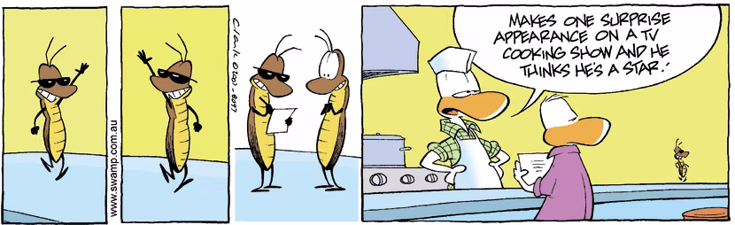 Cockroach is displaying his star power after appearing on television cooking show. Swamp Cartoon - Cockroach Star PowerAugust 22, 2007